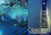 路易?揚特基金會(huì )花園