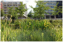 2009-2014巴黎布洛涅-比郞古社區公園