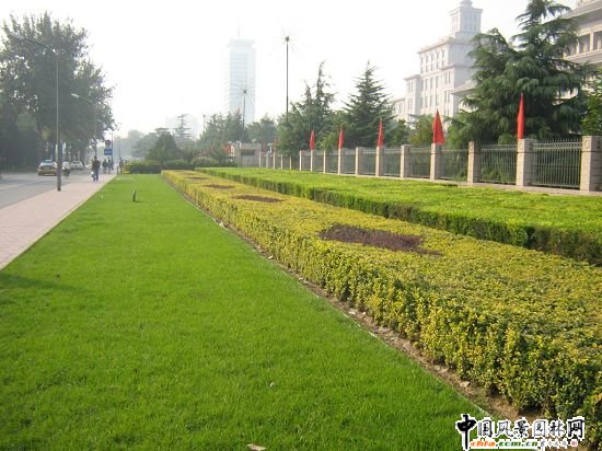 2008(hu