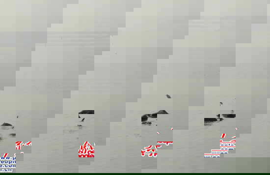 ͣ(zh)ˮB(nio)