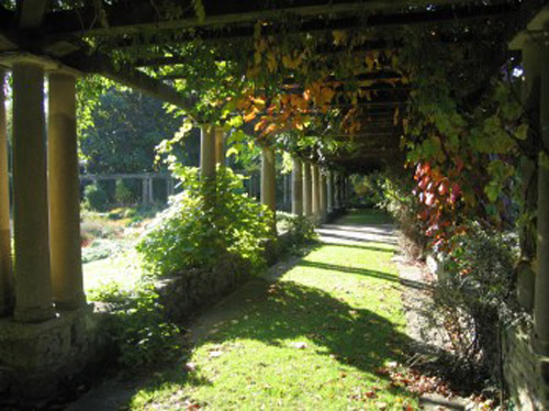 杰基爾 花園 藝術(shù)