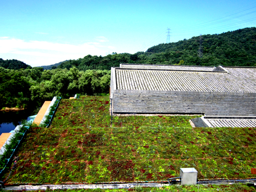 錢(qián)江新城 屋頂綠化群 中國風(fēng)景園林網(wǎng)