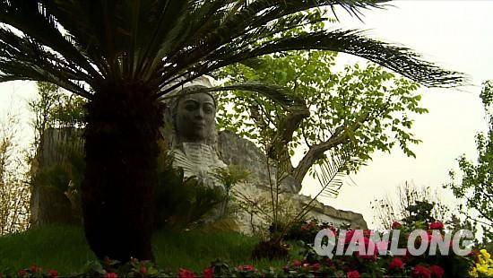 從貴州移植過(guò)來(lái)的鐵樹(shù)。千龍網(wǎng)記者 鄭濤 攝
