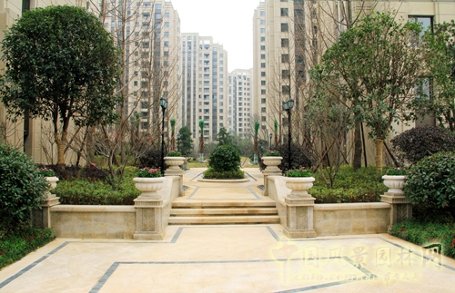 住宅景觀(guān)獎  躍馬園林  金茂梅溪湖