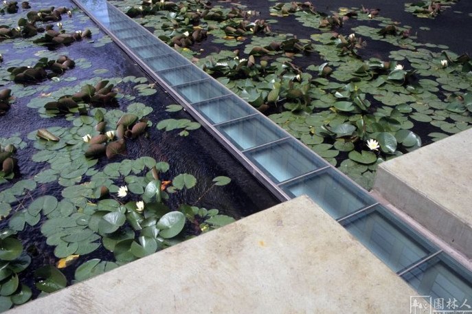 IBM大樓花園環(huán)境