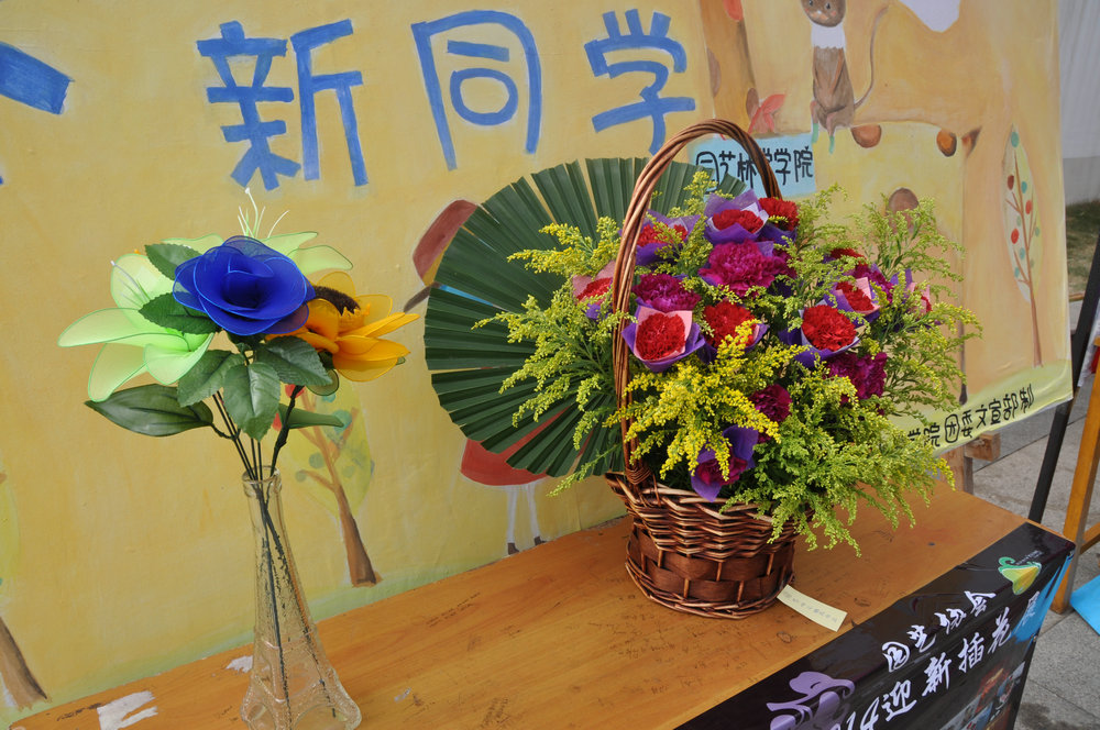 制作精美的插畫(huà)作品