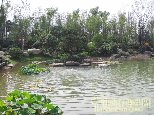 中國綠化博覽會(huì ) 杭州園 緣園 造景元素