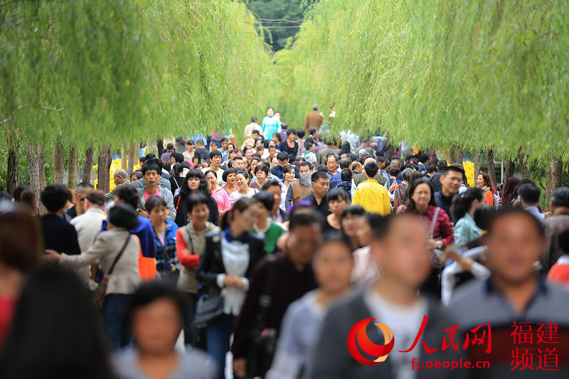 西湖公園菊展創(chuàng  )歷屆規模之最 首次亮相大型造型藝菊