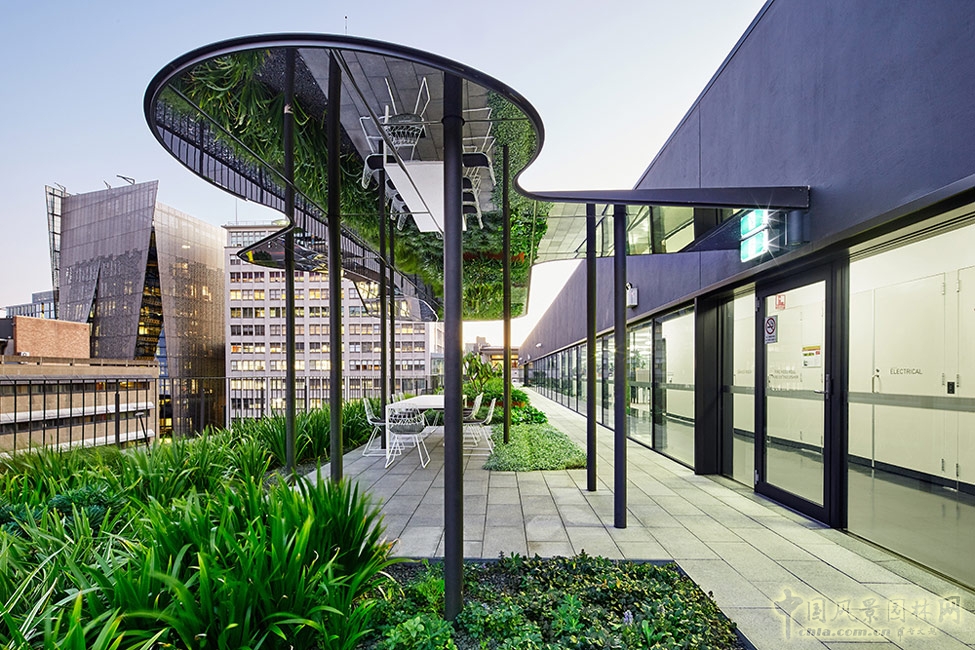 悉尼科技大學(xué)校友綠地