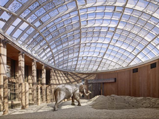 8個(gè)為動(dòng)物而建的建筑設計項目