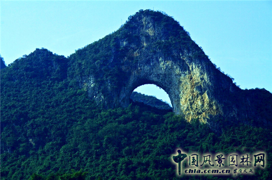 孟兆禎：共學(xué)園冶 傳承創(chuàng  )新