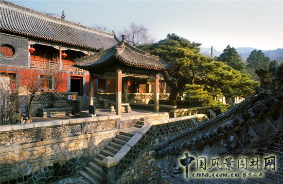 孟兆禎：共學(xué)園冶 傳承創(chuàng  )新