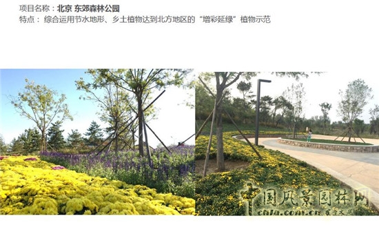 郭建梅：節水園林——蒙草遇上節水的時(shí)代