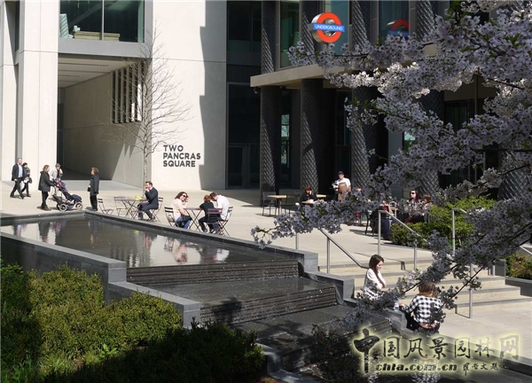 英國倫敦潘克拉斯廣場(chǎng)景觀(guān)設計