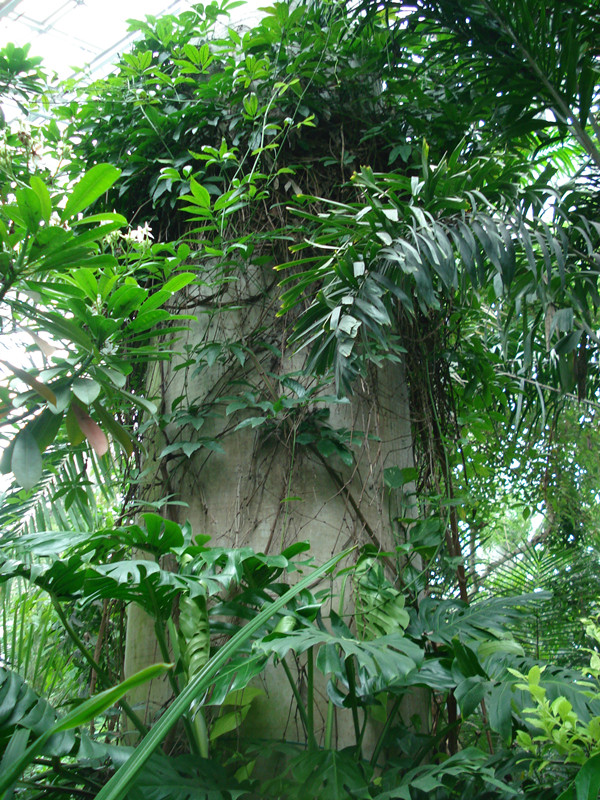 南京林業(yè)大學(xué)風(fēng)景園林學(xué)院社會(huì )實(shí)踐活動(dòng)（一）