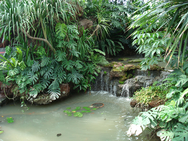 南京林業(yè)大學(xué)風(fēng)景園林學(xué)院社會(huì )實(shí)踐活動(dòng)（一）