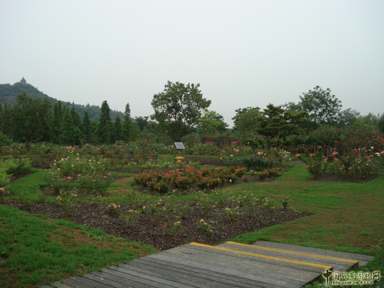 系列報道3：南林風(fēng)景園林學(xué)院走進(jìn)企業(yè)和學(xué)校