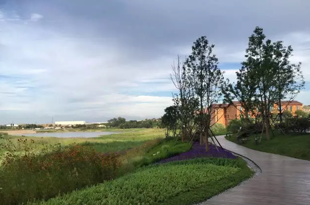 青島中德生態(tài)園德國企業(yè)中心景觀(guān)設計
