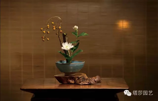 東方式插花藝術(shù)