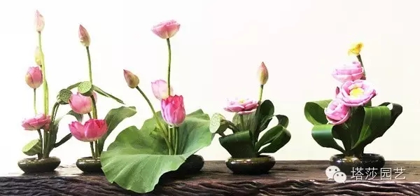 東方式插花藝術(shù)