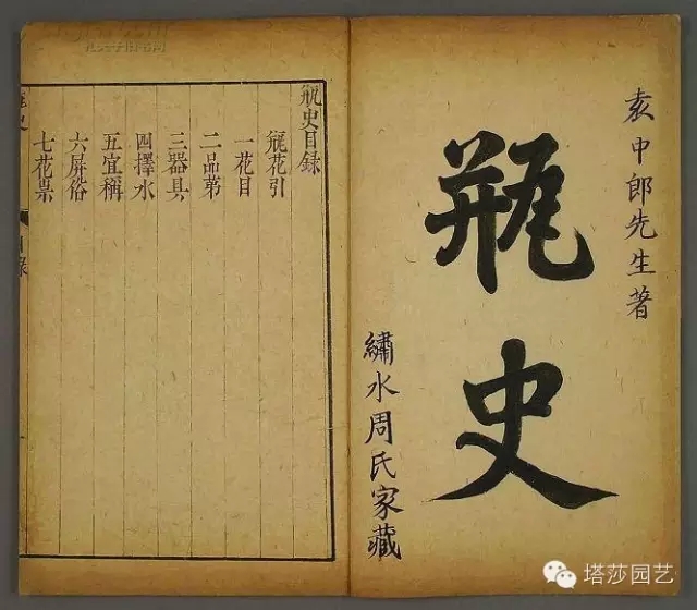 東方式插花藝術(shù)