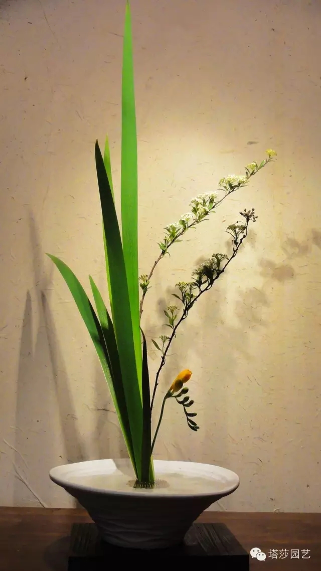 東方式插花藝術(shù)