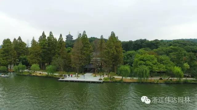 偉達園林獲G20杭州峰會(huì )服務(wù)保障突出貢獻獎