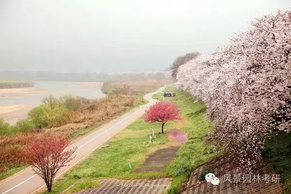 景觀(guān)設計中地形高差處理不會(huì )？看過(guò)來(lái)！