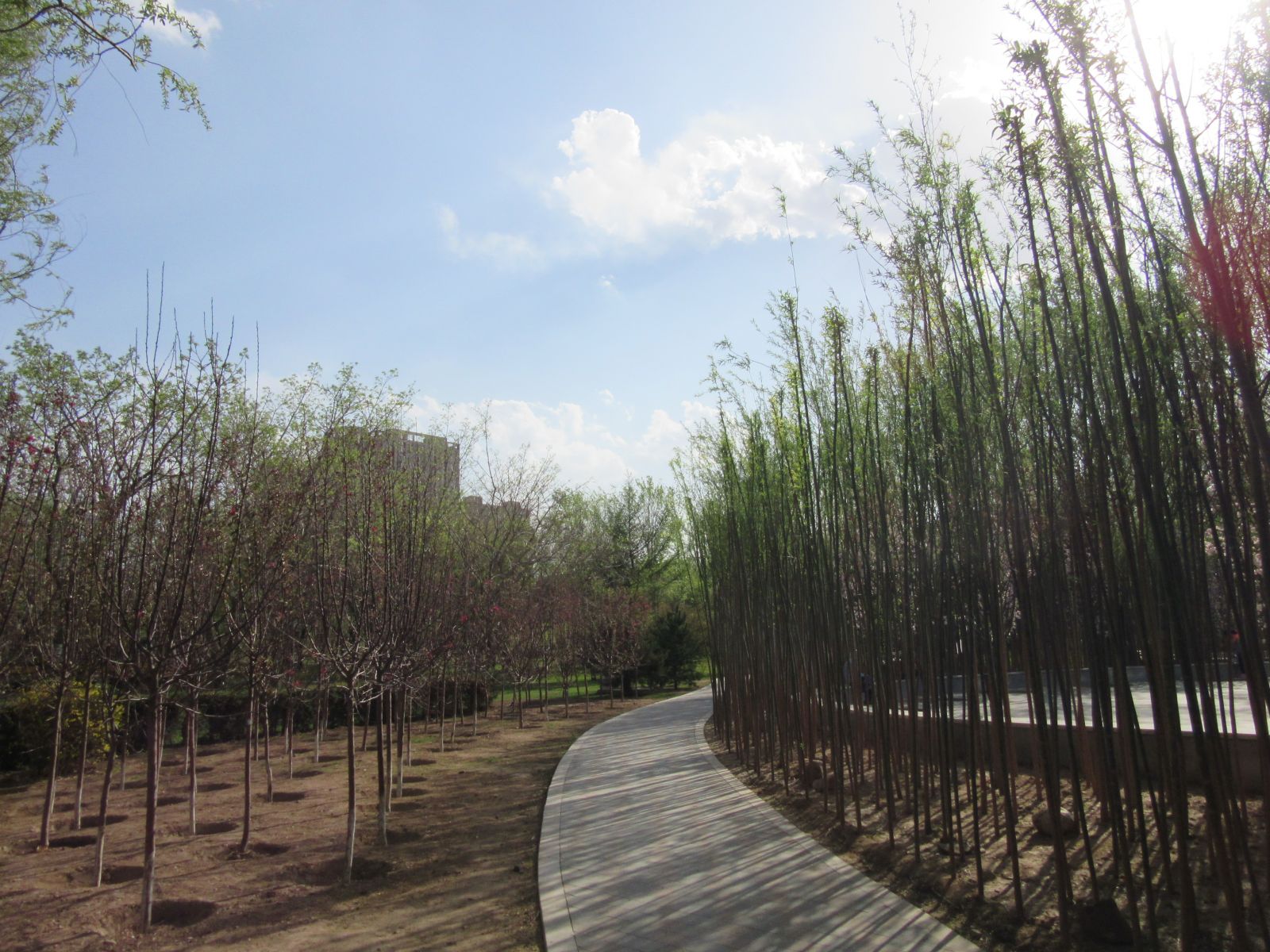2016園冶杯專(zhuān)業(yè)獎參賽項目:大同市兒童公園改造項目