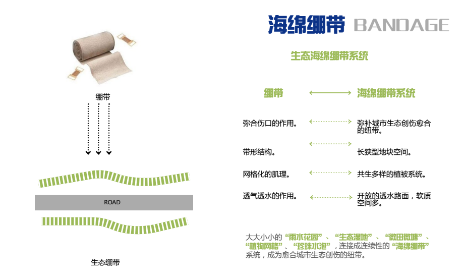 2016園冶杯：昆山市迎賓路改造工程綠化景觀(guān)工程設計