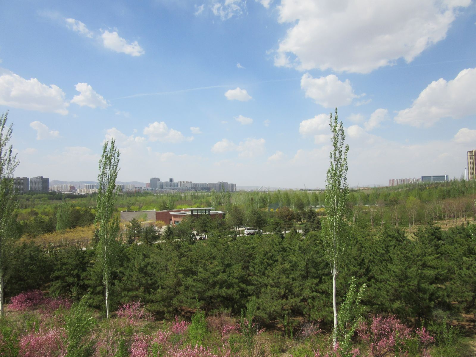 2016園冶杯:御河東岸景觀(guān)綠化工程（二期）C段