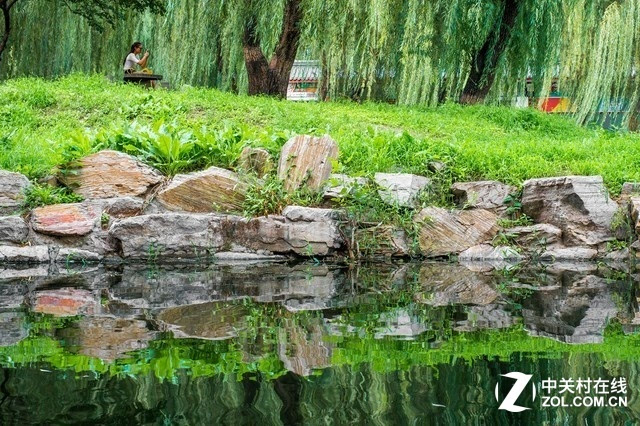 北京園林頤和園的花草樹(shù)木