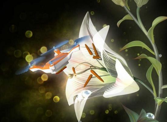 日本教授研究用無(wú)人機為植物授粉