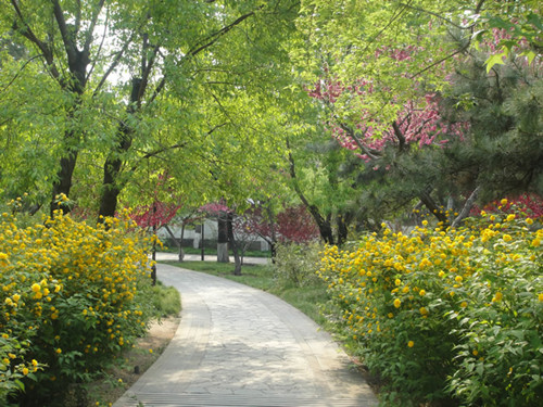 4月10日北京精品園林考察，火熱招募中！