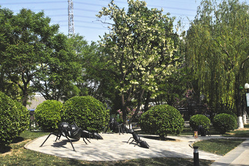 中國風(fēng)景園林網(wǎng)考察世界花卉大觀(guān)園