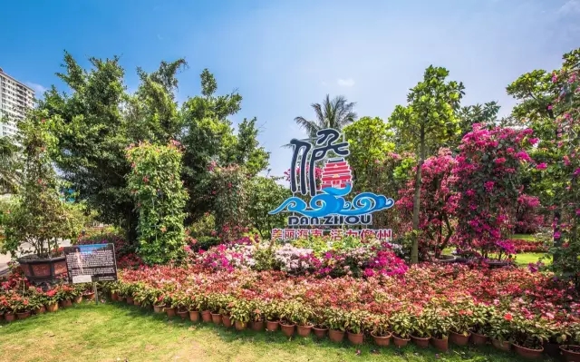 景觀(guān)助力一帶一路，笛東獻策盛世華章