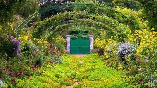 草本花卉在園林綠化與城市景觀(guān)建設中的作用