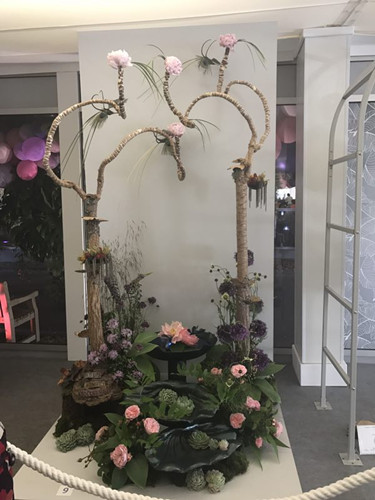 2017英國景觀(guān)專(zhuān)業(yè)考察Day3：切爾西花展