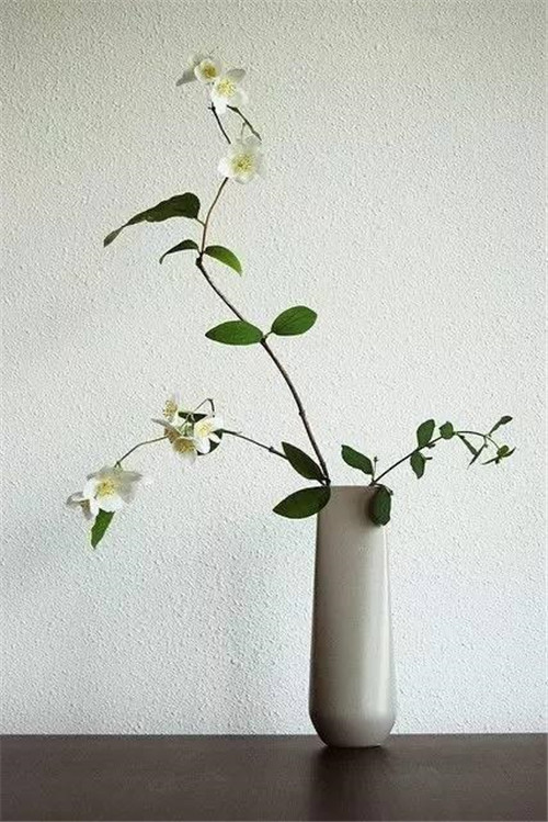 幾款快手插花，讓家迅速變美