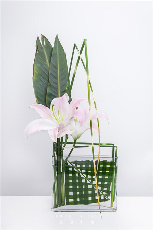 插花技巧為炎炎夏日帶來(lái)一絲清涼
