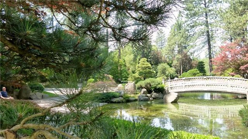 日本園林，小小庭院，源于自然，匠心獨運