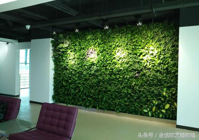 植物墻如何給城市降溫，遏制熱島效應呢？