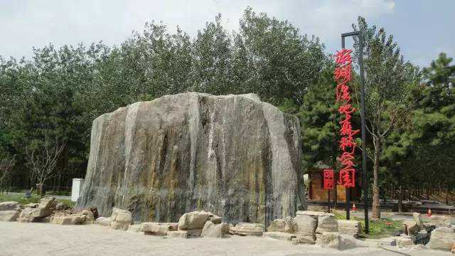 合肥濱湖國家森林公園4A景區對市民開(kāi)放