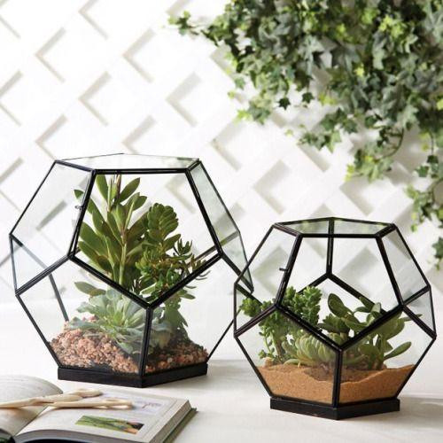 植物美學(xué)中的微景觀(guān)玻璃花房