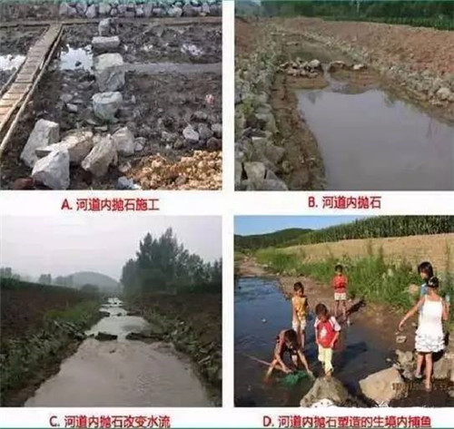 河道生態(tài)棲息地的修復設計與施工