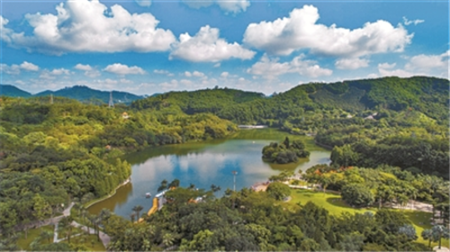 仙湖植物園景觀(guān)換新顏吸引世界目光