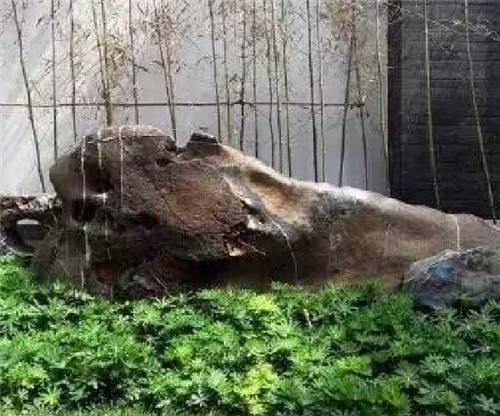 自然園林中的景觀(guān)置石