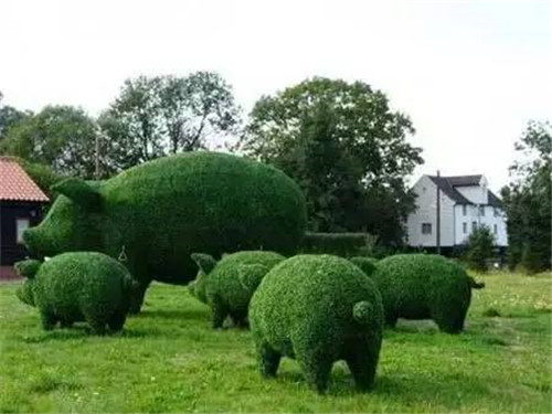 植物雕塑的城市景觀(guān)你見(jiàn)過(guò)嗎？
