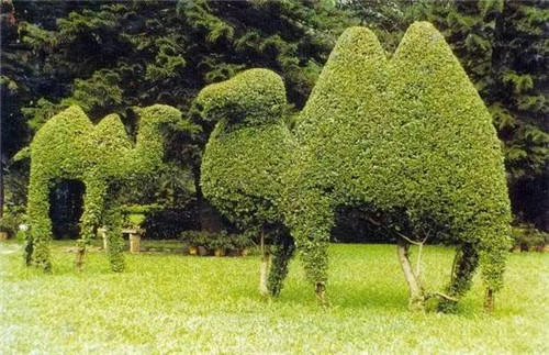 植物雕塑的城市景觀(guān)你見(jiàn)過(guò)嗎？