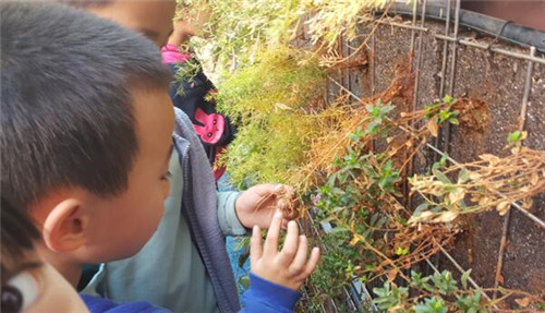 根植快樂(lè )認知和體驗的環(huán)境設計：幼兒園改造